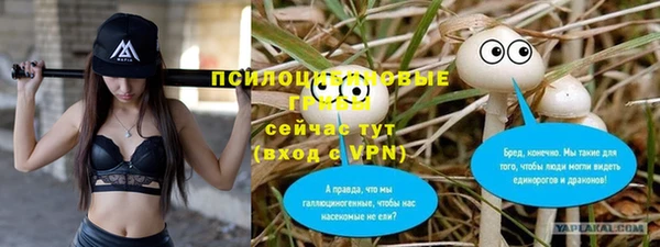 герыч Корсаков